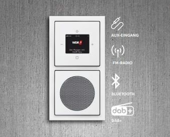 ABB Busch Jaeger 8217 U-101 DAB+ en bluetooth radio BTconnect