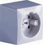 Perilex