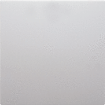 Berker S1/B3/B7 Wip wissel/ kruis 16208989 polarwit glans Berker S1/B3/B7 Wip wissel/ kruis 16208989 polarwit glans