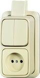 Busch Jaeger BJ combinatie serieschakelaar/wcd zonder randaarde opbouw creme 2601/5/2300 APJ Busch Jaeger BJ combinatie serieschakelaar/wcd zonder randaarde opbouw creme 2601/5/2300 APJ
