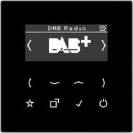 Onderdrukking comfort bladerdeeg Jung DABLSSW DAB+ smart radio inbouw LS990 - Euro-electronics.nl